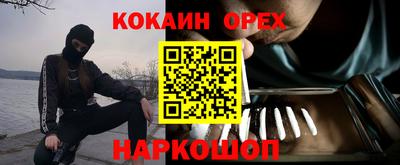 прущие грибы Будённовск