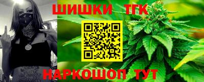прущие грибы Будённовск