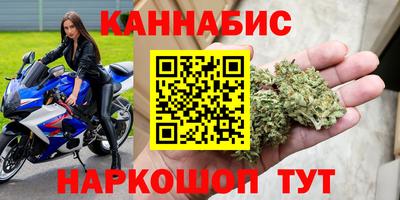 прущие грибы Будённовск