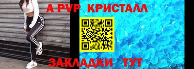 прущие грибы Будённовск