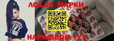 прущие грибы Будённовск