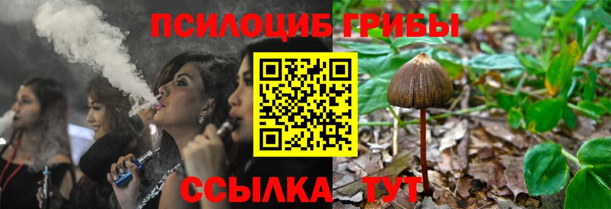 Псилоцибиновые грибы Psilocybine cubensis  Вход с VPN  Бахчисарай  Галлюциногенные грибы ЛСД 