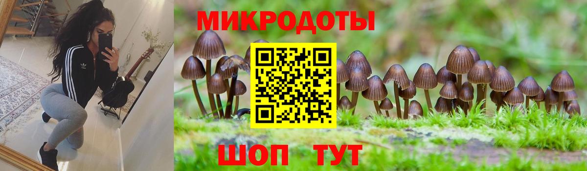 Галлюциногенные грибы ЛСД Бахчисарай